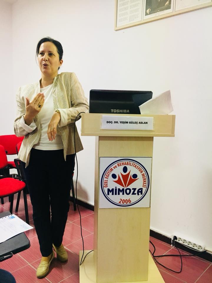 Otizm Spektrum Bozukluğu Olan Bireylerin Eğitsel ve Sosyal Yaşantılarını Kolaylaştırıcı İpuçlarına Genel Bakış